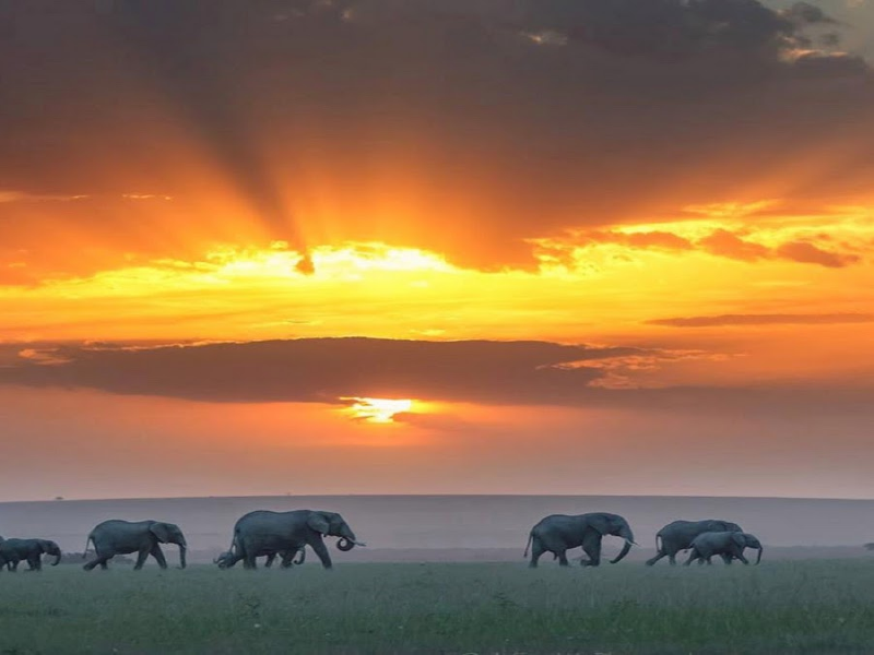 Africa