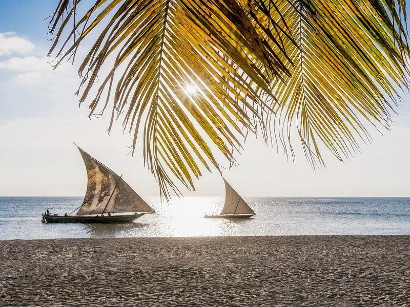 Zanzibar (Tanzania) Highlight 1