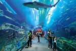 Sharjah Aquarium2